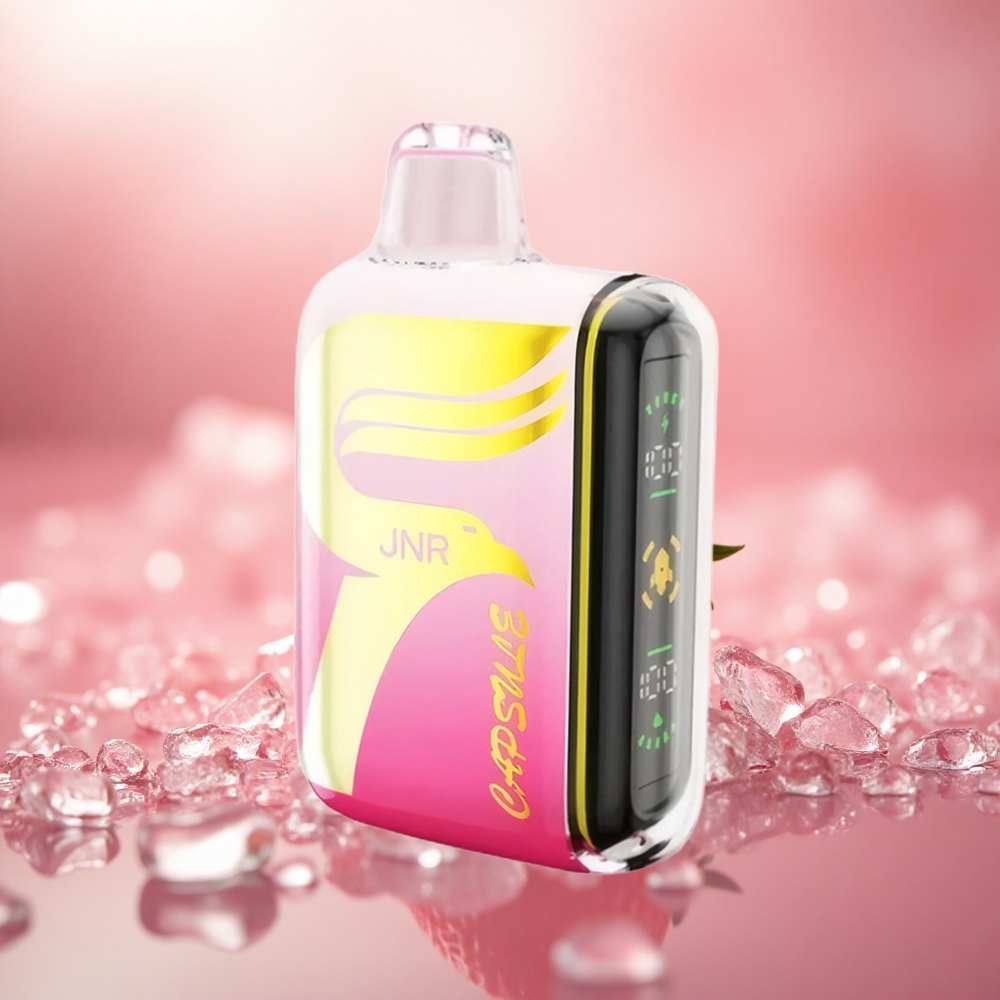 Strawberry Watermelon Ice JNR Capsule 15000 Puff Gegelung Dwi Mesh