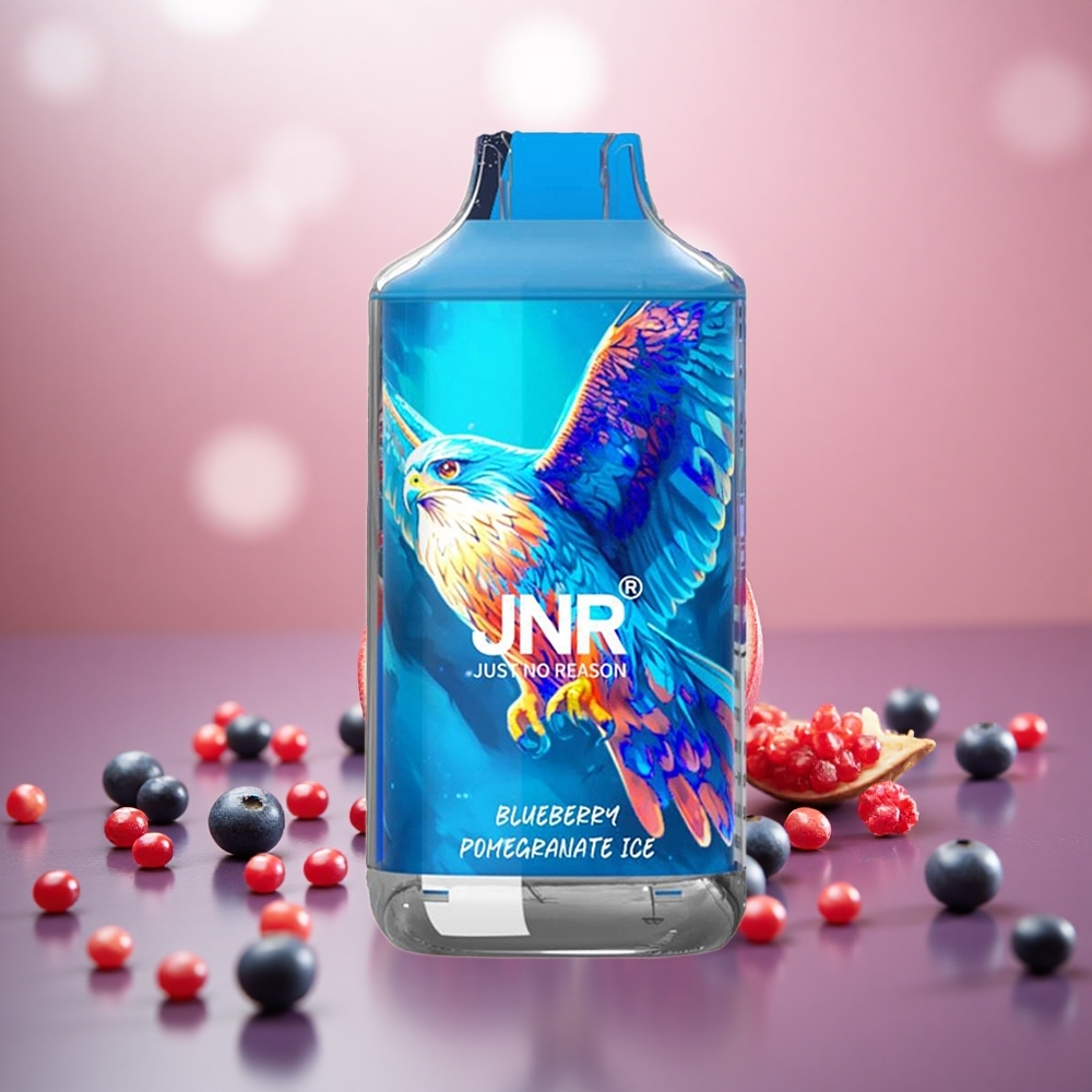 Beri Delima Ais JNR Falcon 16000 Puffs Gegelung Dwi Mesh