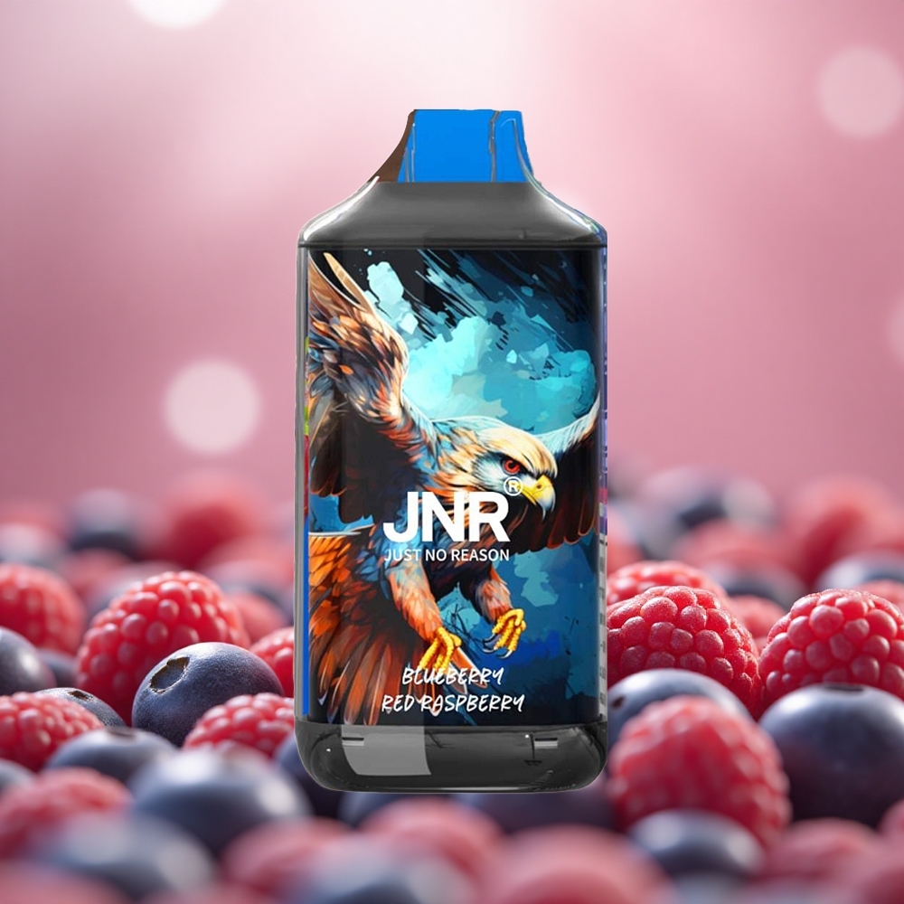 Biru Raspberry JNR Falcon 16000 Puffs Gegelung Dwi Mesh