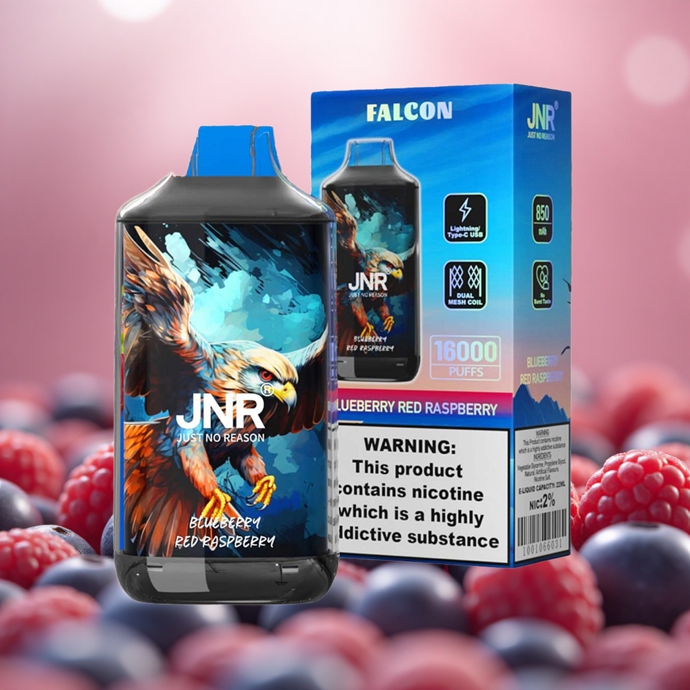 Biru Raspberry JNR Falcon 16000 Puffs Gegelung Dwi Mesh