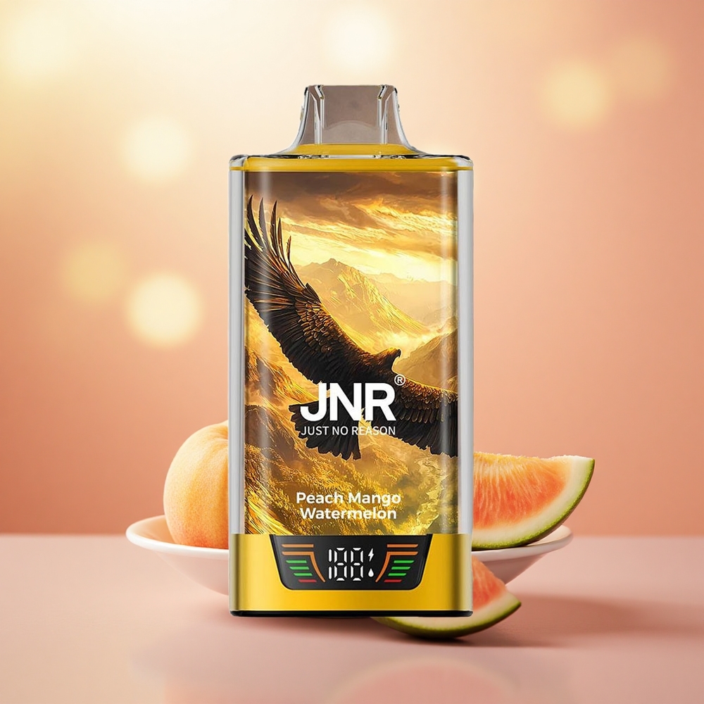 Peach Mangga Tembikai JNR Falcon Pro 28000 Puff Gegelung Dwi Mesh