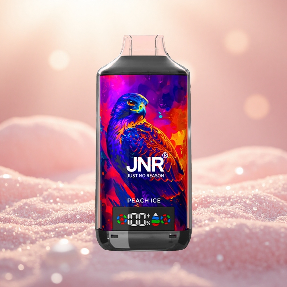 Ais Pic JNR Falcon X 18000 Puffs Gegelung Dwi Mesh