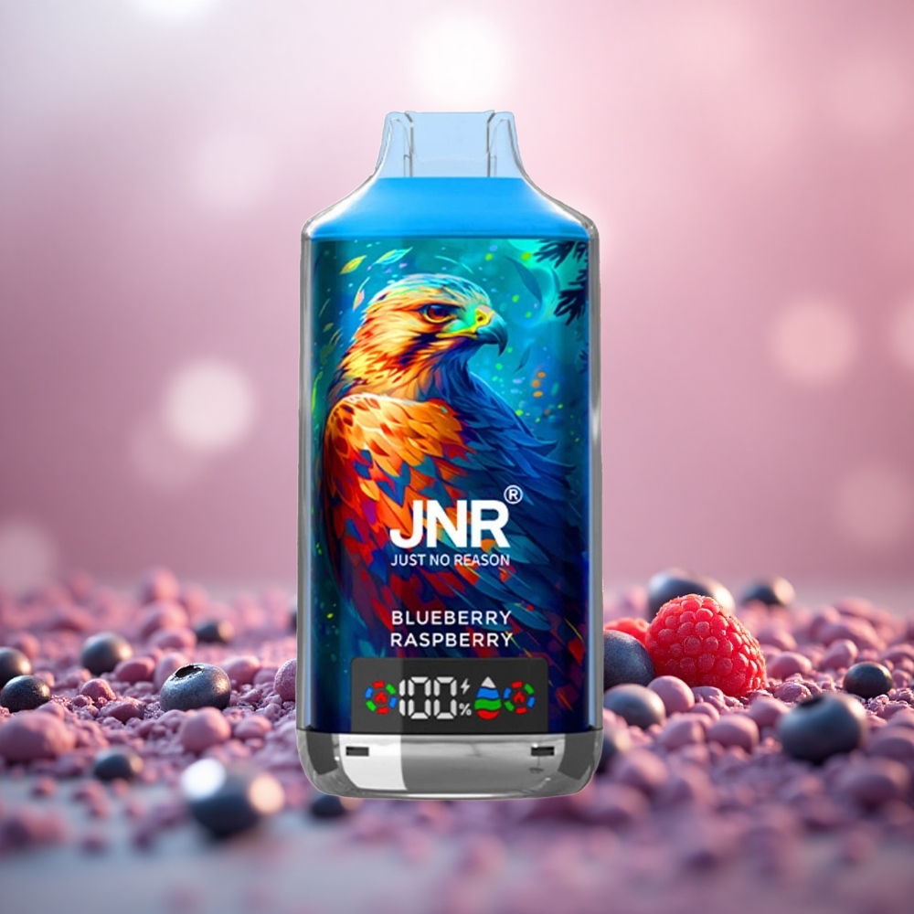 Bluberi Raspberi JNR Falcon X 18000 Puff Gegelung Dwi Mesh