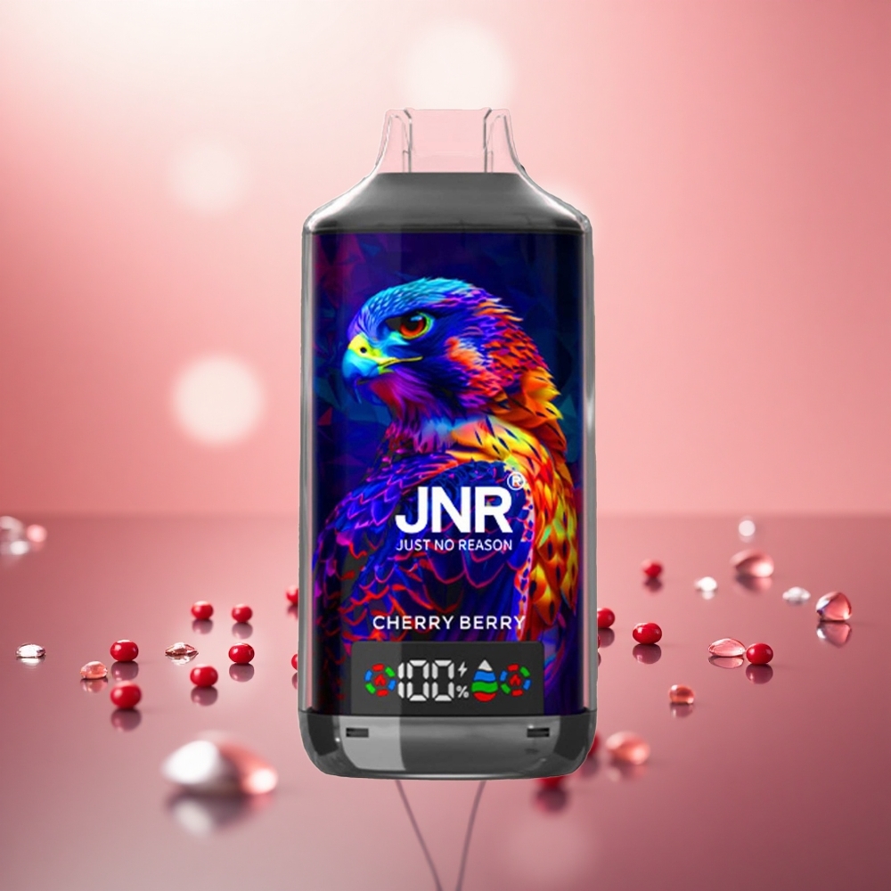 Cerry Berry JNR Falcon X 18000 Puffs Gegelung Dwi Mesh