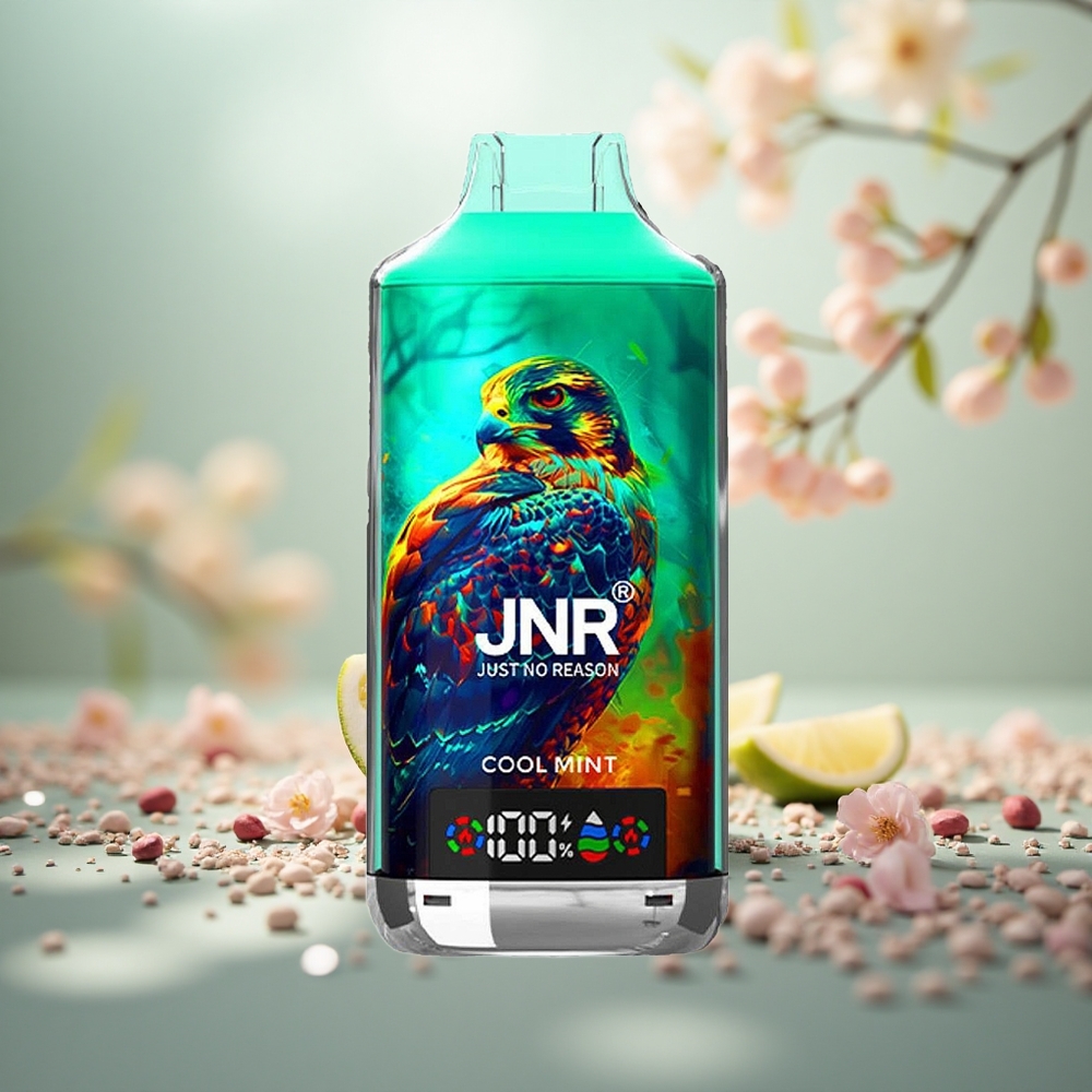 JNR Falcon X 18000 Puffs Pudina Sejuk Vape Sekali Pakai Gegelung Dwi Mesh