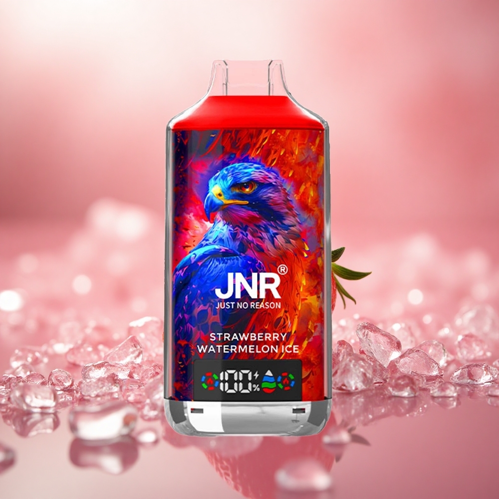 Strawberi Tembikai Ais JNR Falcon X 18000 Puffs Gegelung Dwi Mesh Digital Display Type-C