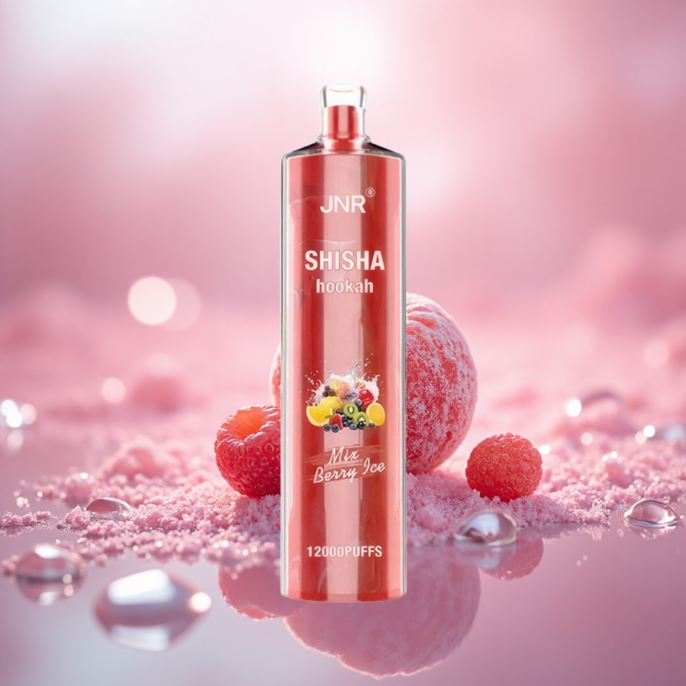 Berry Ais JNR Shisha Hookah 12000 Puff dengan Pengecasan Pantas Type-C