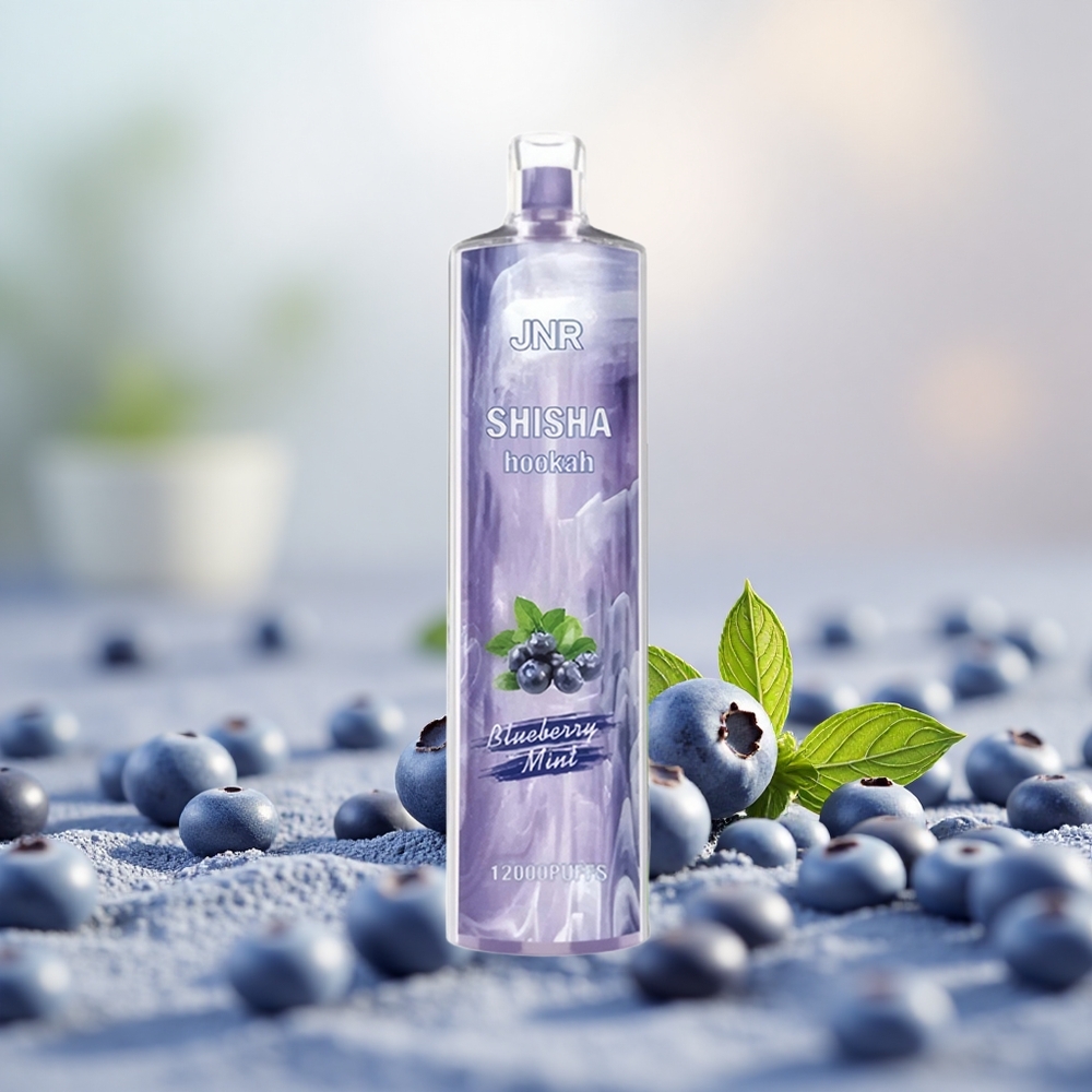 Biru Pudina JNR Shisha Hookah 12000 Puff 750mAh