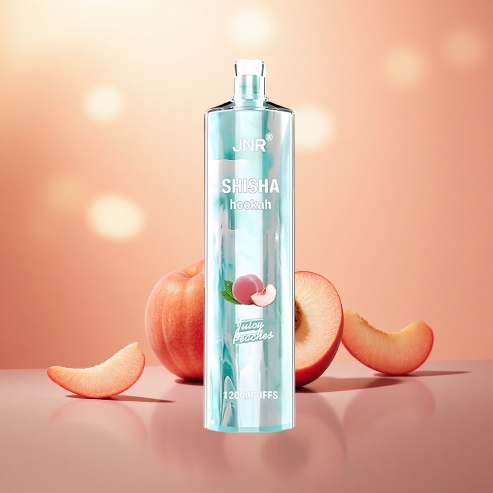 Persik Berair JNR Shisha Hookah 12000 Puffs 24ml E-Liquid 750mAh Battery Type-C Fast Charging