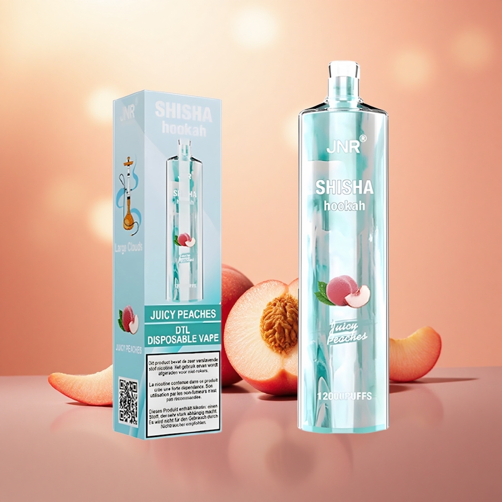 Persik Berair JNR Shisha Hookah 12000 Puffs 24ml E-Liquid 750mAh Battery Type-C Fast Charging